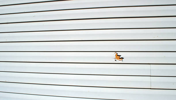 Best Siding Removal and Disposal  in Gardende, AL
